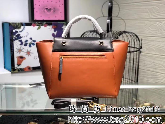 CELINE賽琳原單 2018拼色系列 鯰魚包 s2071 SL1177